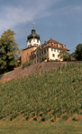 Foto Schloss Grstein
